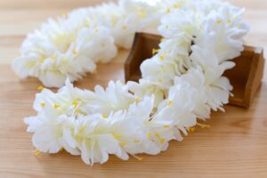 フラダンス グッズ